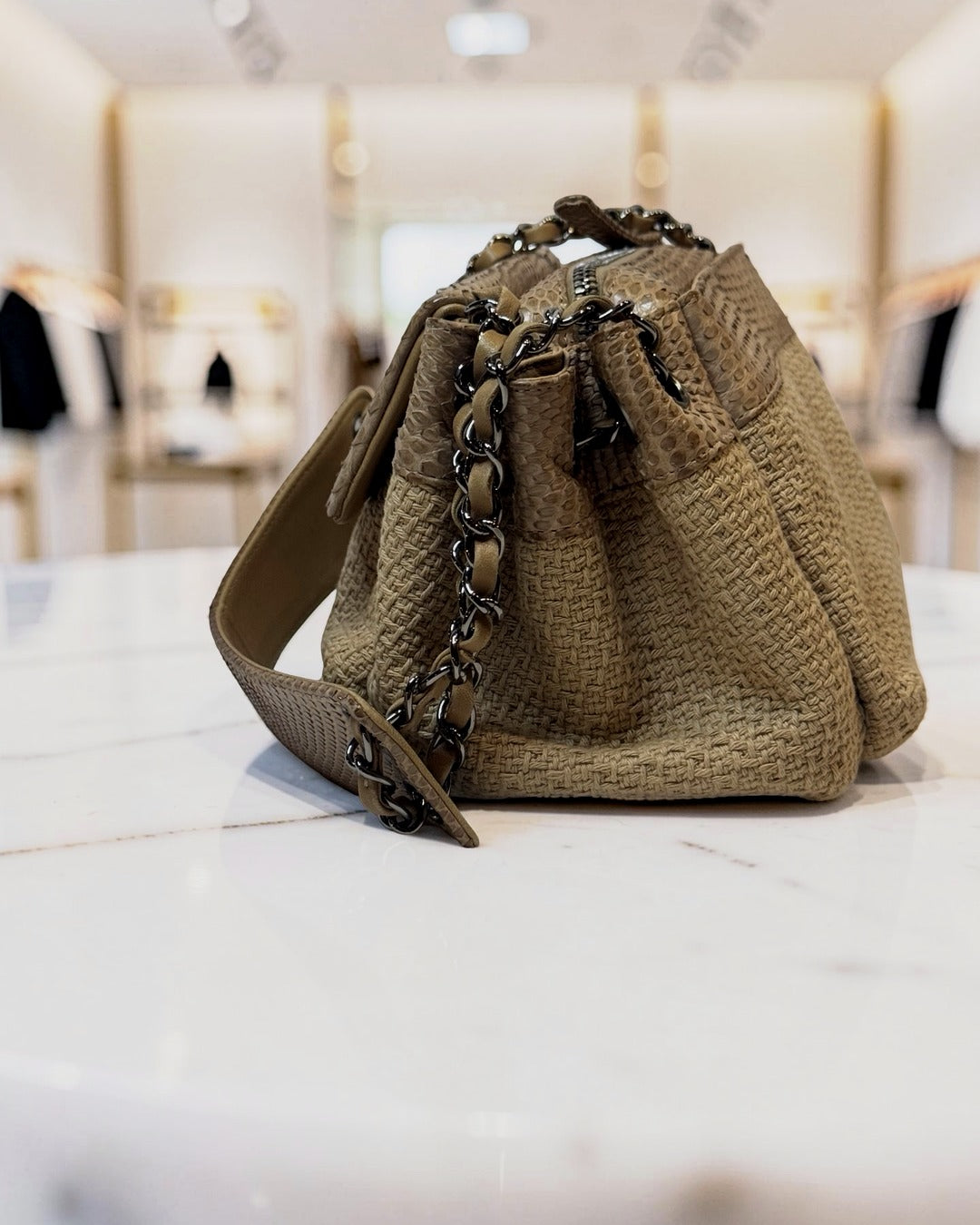 Chanel Python-Trimmed Accordion Flap Bag, Taupe