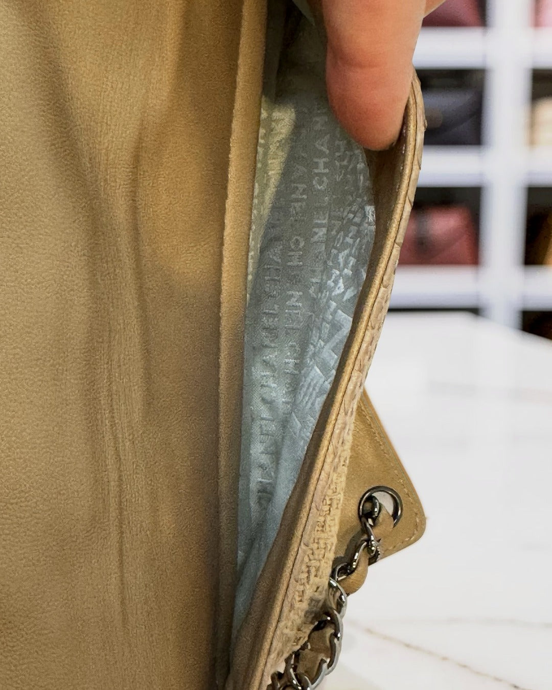 Chanel Python-Trimmed Accordion Flap Bag, Taupe