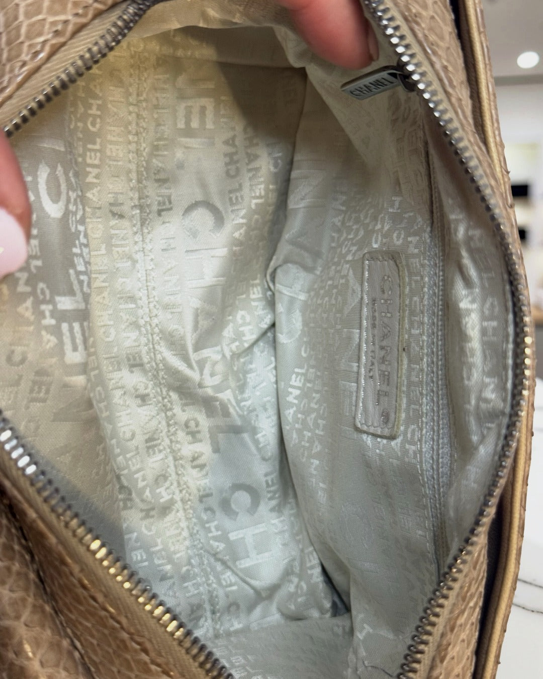 Chanel Python-Trimmed Accordion Flap Bag, Taupe