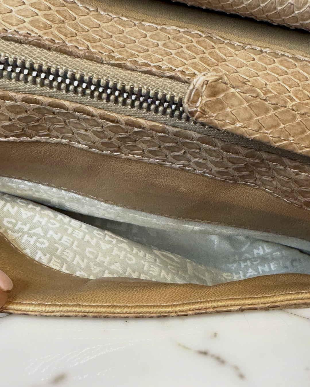 Chanel Python-Trimmed Accordion Flap Bag, Taupe