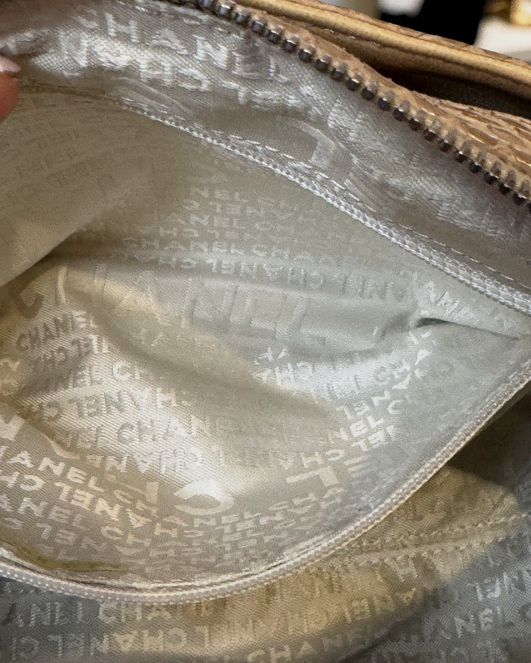 Chanel Python-Trimmed Accordion Flap Bag, Taupe