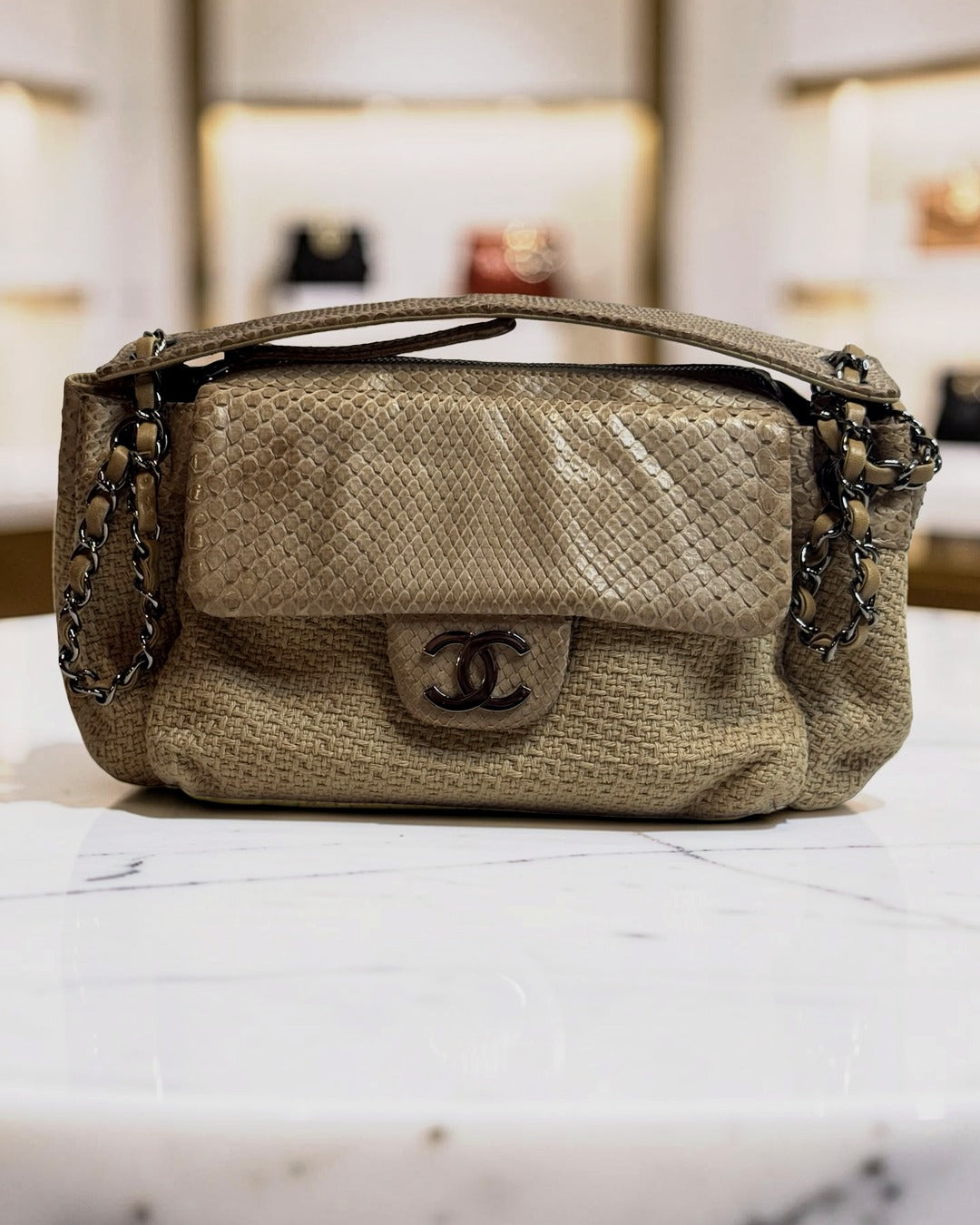 Chanel Python-Trimmed Accordion Flap Bag, Taupe