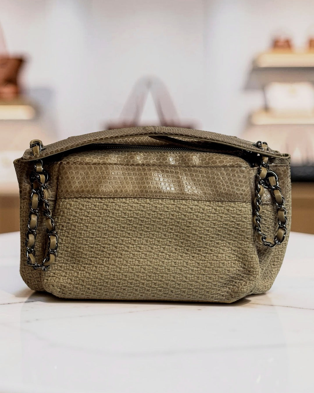 Chanel Python-Trimmed Accordion Flap Bag, Taupe