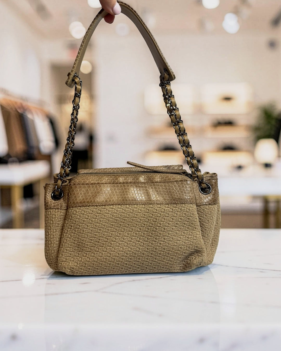 Chanel Python-Trimmed Accordion Flap Bag, Taupe