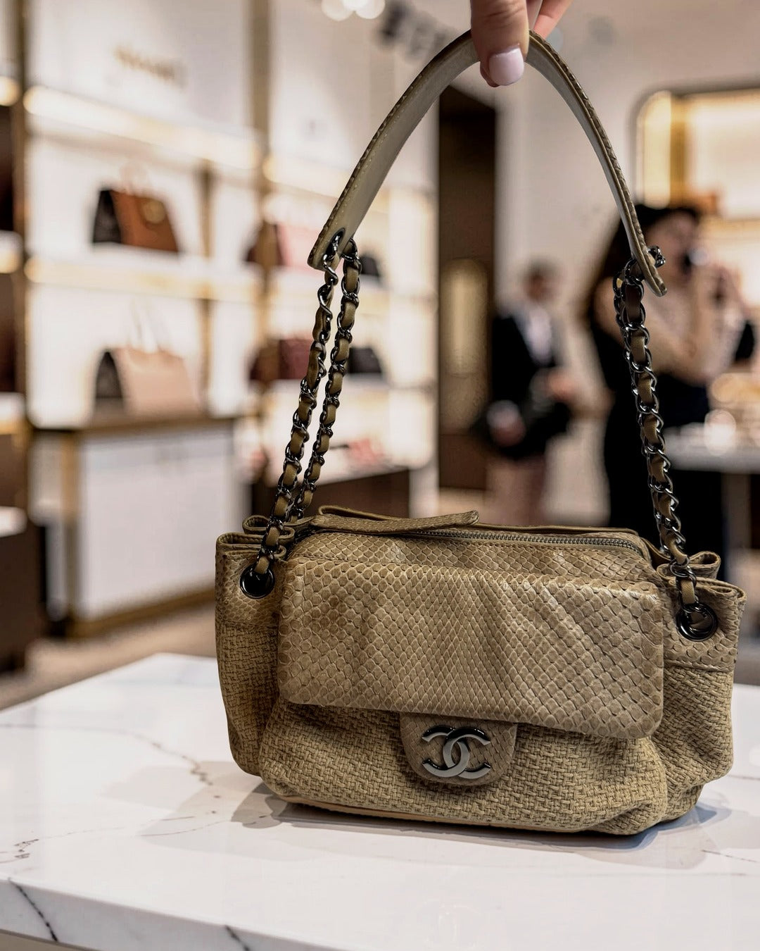 Chanel Python-Trimmed Accordion Flap Bag, Taupe