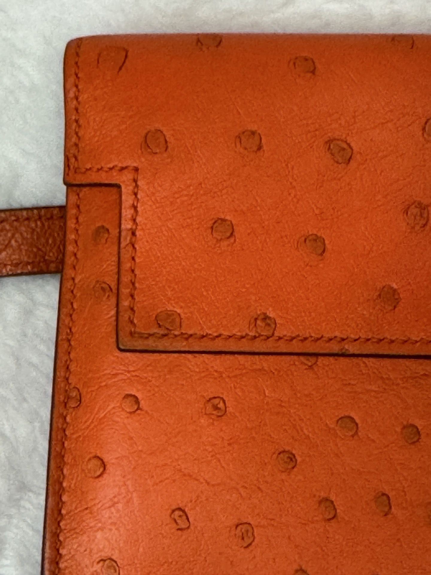 Hermès Kelly Classic Wallet — Ostrich, Tangerine, Palladium